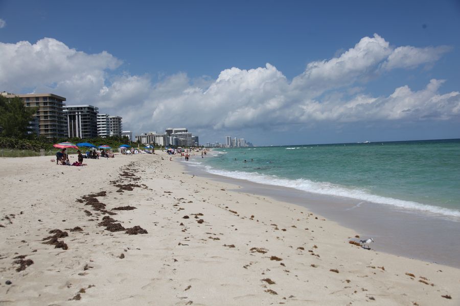 Der Strand in Miami Beach » CEEA